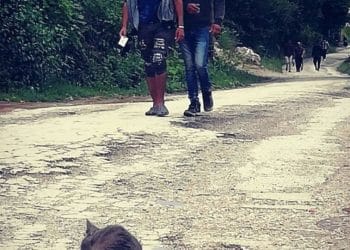 TRA I “DIMENTICATI DAL MONDO” IN BOSNIA