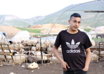 Israeli Settler Violence at Unprecedented Levels